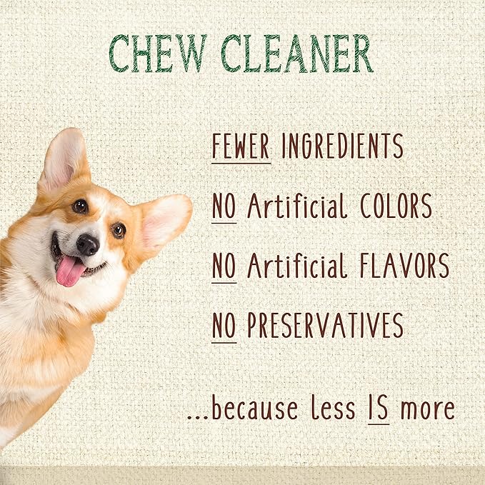 Nylabone Nutri Dent Dog Dental Chews - Natural Dog Teeth Cleaning & Breath Freshener - Dental Treats for Dogs - Filet Mignon Flavor, Mini (32 Count)-Mewly Pet