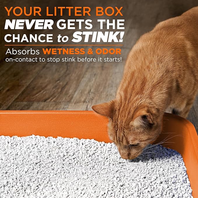 POOPH® LITTERIZER® – 16oz Bottle – Absorbs 46x Weight in Wetness & Odor – Keeps Litter Dry, Reduces Mess, Reduce Litter Costs AND Get a STINK-FREELitter Box – WITHOUT Fragrances or Harsh Chemicals-Mewly Pet