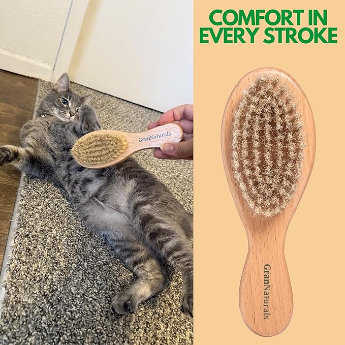 GranNaturals Boar Bristle Soft Cat Brush for Indoor, Outdoor, Short Haired Cats, Kittens, Small Dog, Rabbit, Furry Pets - Gentle Grooming on Sensitive Hair Coat & Tail with Durable Wooden Handle-Mewly Pet