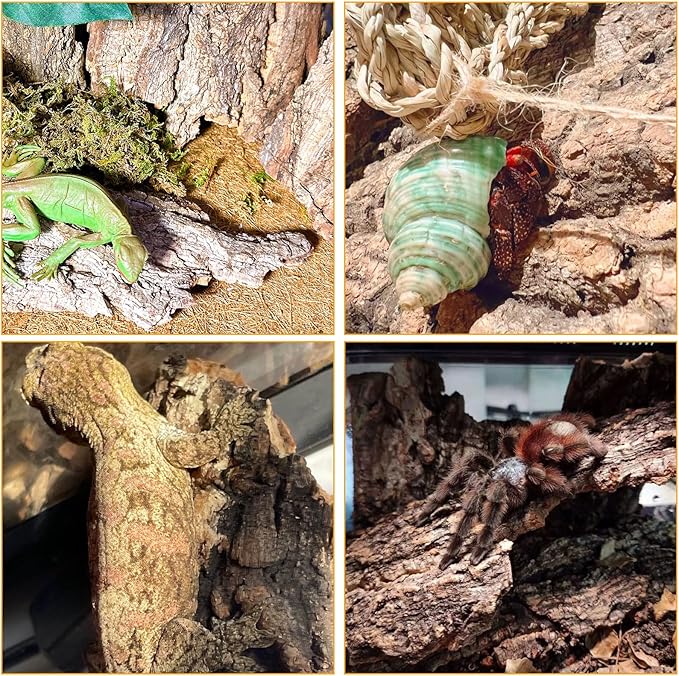 BNOSDM Reptile Terrarium Bark Substrate Bedding Tortoise Natural Cork Bark Reptile Climbing Mat Habitat Decor for Lizard Snake Spiders Hermit Crabs Tarantula Geckos Bearded Dragons (0.7 LB)-Mewly Pet