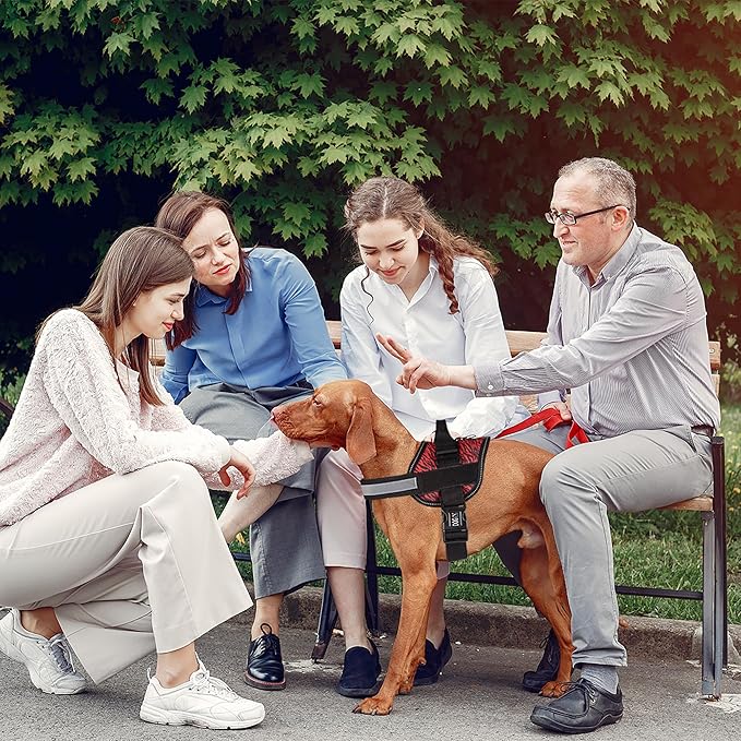 Dogline Dog Harness, Reflective No-Pull Adjustable Vest with Handle for Walking, Training, Breathable, No - Choke Harness for Small, Medium or Large Dogs Room for Patches Zebra Black/Red S 18"-24"-Mewly Pet