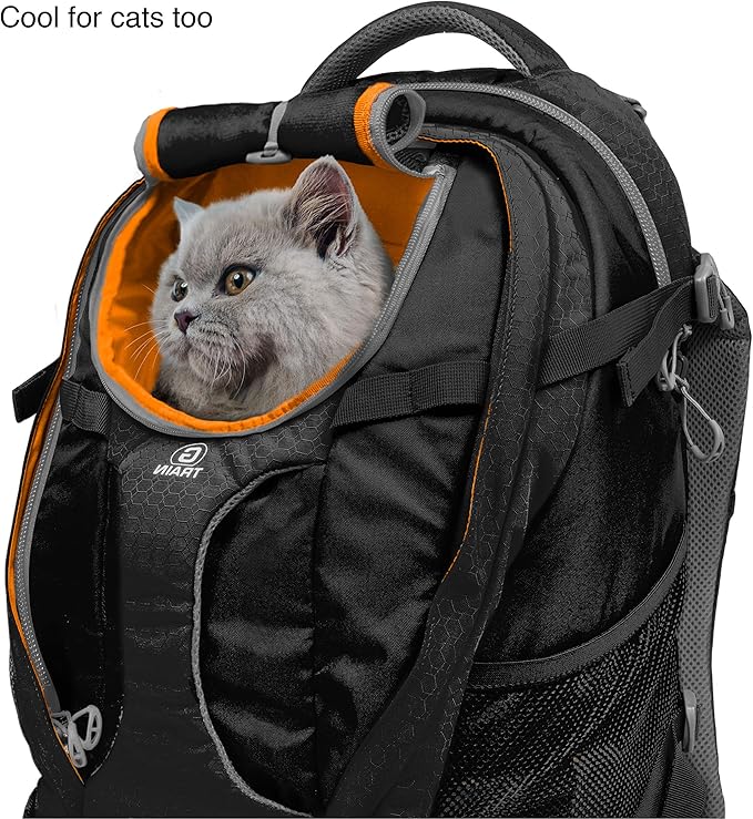 Kurgo G-Train - Dog Carrier Backpack for Small Pets - Cat & Dog Backpack for Hiking, Camping or Travel - Chest Straps & Hip Belt - Reflective - Two Water Bottle Sleeves - Waterproof Bottom (Black)-Mewly Pet
