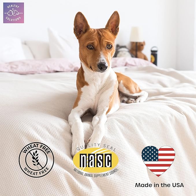 Calming Chews for Dogs - Dog Calming Treats for Anxiety & Stress Relief with Melatonin and Ginger - Aid with Storms, Grooming, Fireworks, Separation, Travel, Motion Sickness, & Sleep - 60 Soft Chews-Mewly Pet