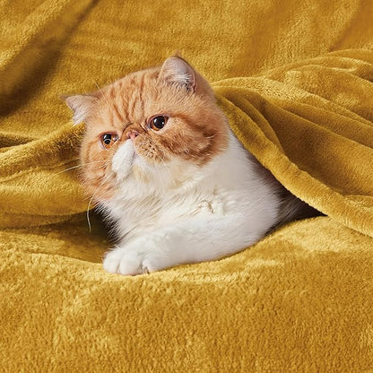 Bedsure GentleSoft Gold Fleece Throw Blanket - 300GSM Blankets for Couch, Sofa, Bed, Soft Lightweight Plush Cozy Throws for Toddlers, 50x60 inches