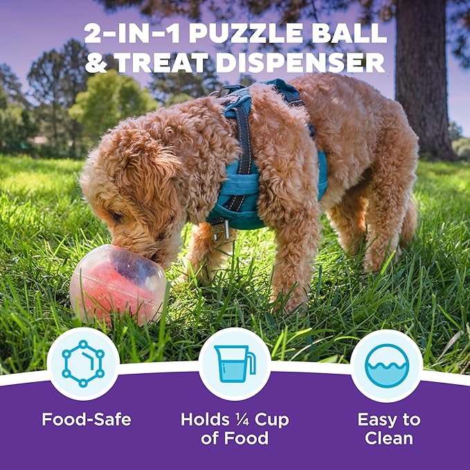 Outward Hound Nina Ottosson Topsy Treat Ball Dog Puzzle Interactive Treat Puzzle Dog Enrichment Dog Toy, Level 1 Beginner, Orange-Mewly Pet