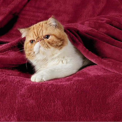 Bedsure GentleSoft Fleece Blanket Twin Size Red - 300GSM Lightweight Plush Fuzzy Cozy Soft Warm Blanket for Bed, Sofa, Couch, Travel, Camping, 60x80 inches