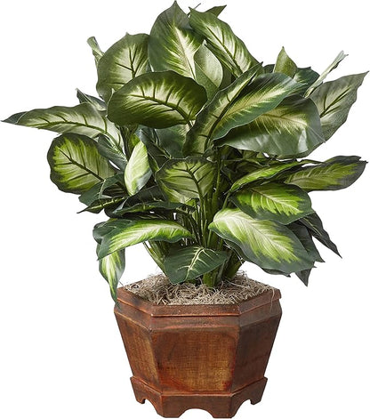 Nearly Natural 22IN Artificial Triple Golden Dieffenbachia Plant with Decorative Wood Planter, Faux Plant for Indoor Home Décor