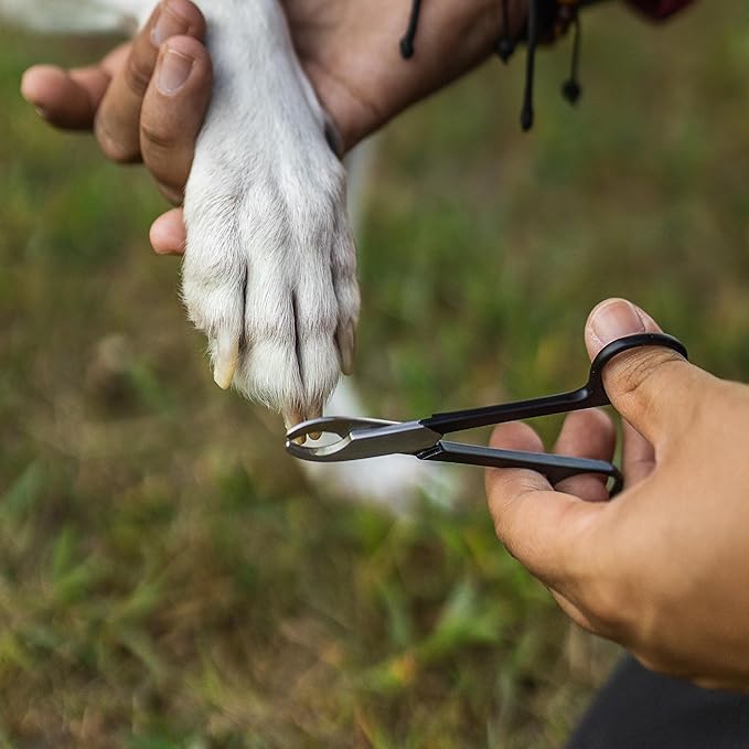 Cat Nail Trimmers/Dog Nail Trimmers - Solid Steel Pet Nail Clippers for Small and Medium Sized Dogs and Cats - Dog Grooming Supplies, Cat Grooming Supplies-Mewly Pet