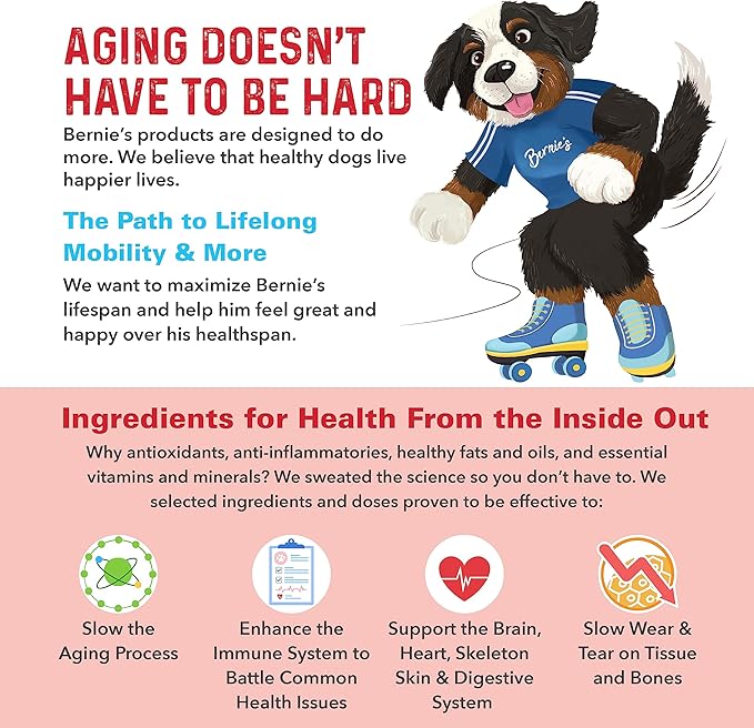 Bernie's Marvelous Mobility - Daily Total Joint Support for Dogs - 90 Soft Chews - Maintain & Rebuild Mobility, Supports Joint Tissue Health-Mewly Pet
