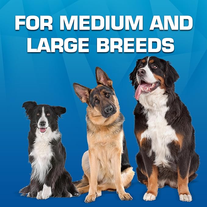 Nerf Dog Trackshot Toss and Tug Ring Outdoor Dog Toy 2 Pack, 9 Inch Dog Tug and Fetch Toy, for Medium and Large Breeds, Blue/Orange/Green-Mewly Pet