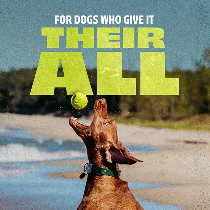 Benebone 2-Pack Rubber Ball-Mewly Pet