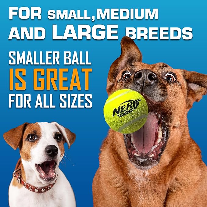 Nerf Dog Tennis Ball Blaster Dog Toy Gift Set, Tennis Ball Dog Fetch Toy Launches up to 50 ft, Dog Ball Thrower for All Breeds Includes Translucent Blue Tennis Ball Launcher and 3 Dog Tennis Balls-Mewly Pet