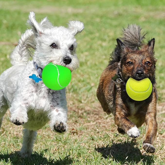 Large Dog Tennis Balls, 4 inch Interactive Big Dog Toy Ball for Small Medium Large Dogs, 4-Pack Dog Toys for Outdoor/Indoor Sports, Fetch, Training & Play-Mewly Pet
