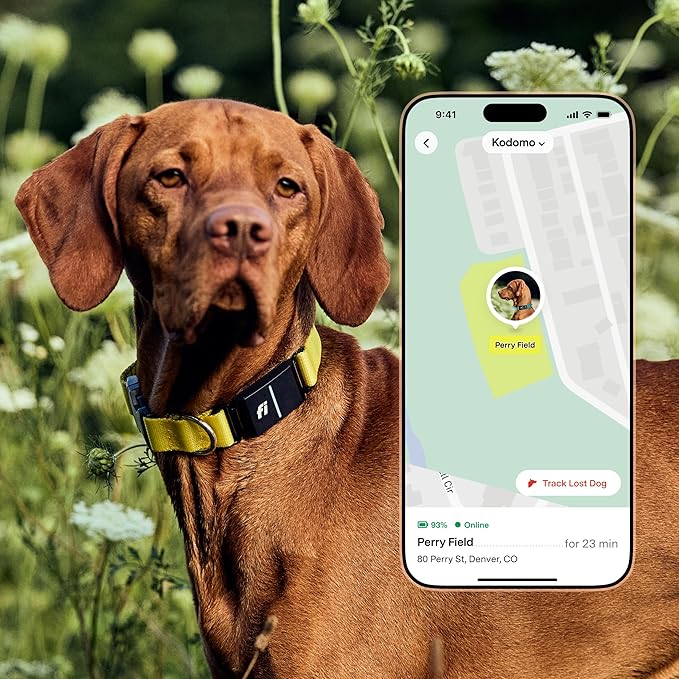 New Fi Series 3+ Smart Dog Tracker Collar – AI GPS for Dogs, Health & Behavior Monitor, Virtual Fence, Escape Alerts, Waterproof, Apple Watch Compatible 12Mo Membership Included-Mewly Pet
