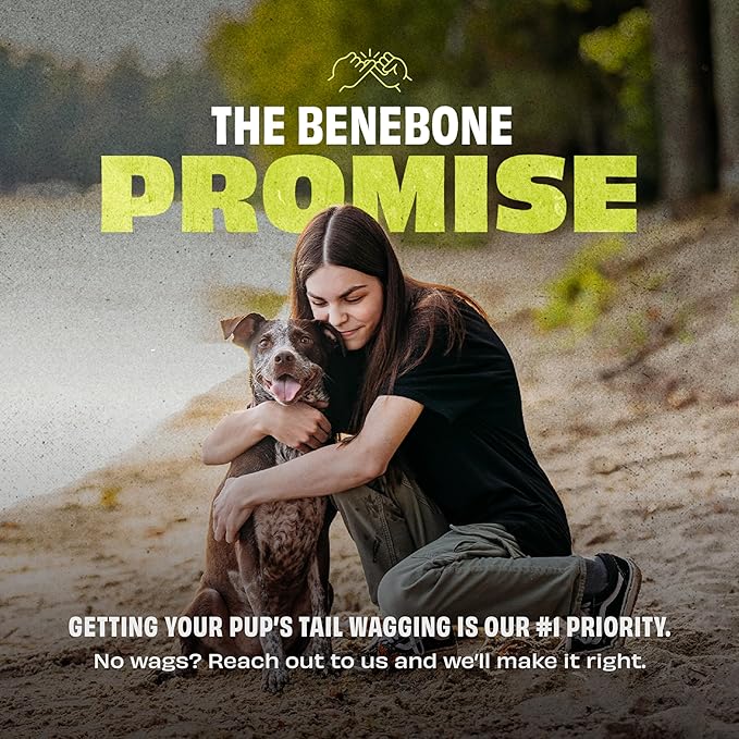 Benebone 4-Pack Rubber Ball-Mewly Pet