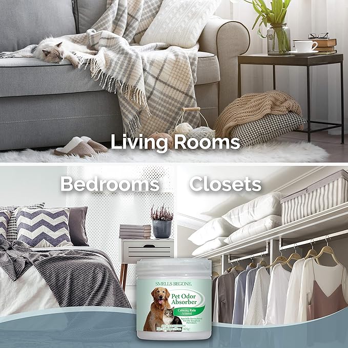 SMELLS BEGONE Air Freshener Odor Absorber Gel - 15 oz, Pack of 2 - Absorbs and Eliminates Odor in Pet Areas, Bathrooms, Cars, & Boats - Made with Essential Oils - Calming Rain Scent-Mewly Pet