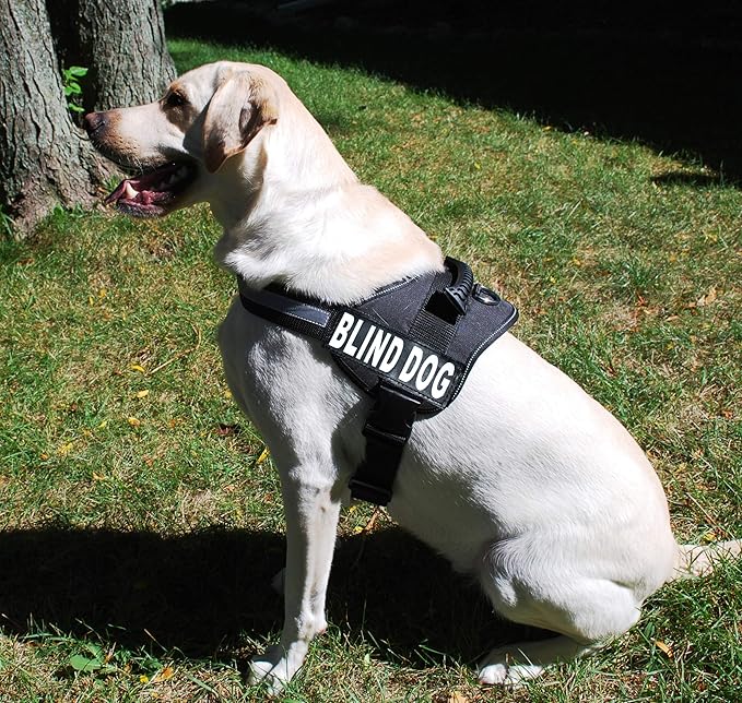 Doggie Stylz Blind Dog Vest Harness with Removable Patches and Reflective Trim. Comes with 2 Blind Dog Reflective Hook and Loop Patches. Measure Dogs Girth Before Purchase (Girth 30”- 42" Black)-Mewly Pet