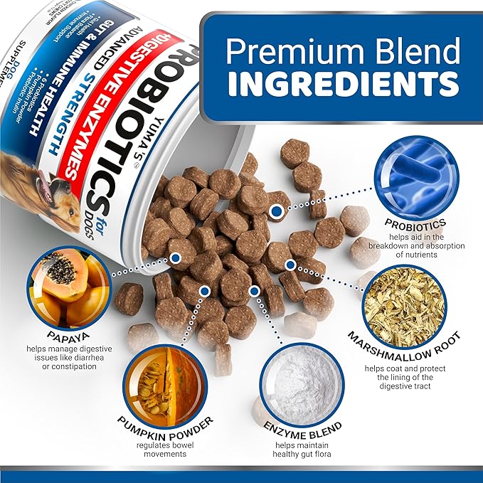 Probiotics for Dogs and Digestive Enzymes - 170 Dog Probiotics Chews - Dog Probiotic - Anti Diarrhea, Upset Stomach & Gas Relief, Constipation, Canine Prebiotic - Pet Fiber Supplement - Gut Health-Mewly Pet
