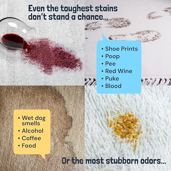 Sunny & Honey Carpet Cleaner Solution - 32 Fl Oz, Fresh Summer Scent - Rug Shampoo & Upholstery Cleaning Solution - Pet Odor Eliminator & Pet Stain Remover-Mewly Pet