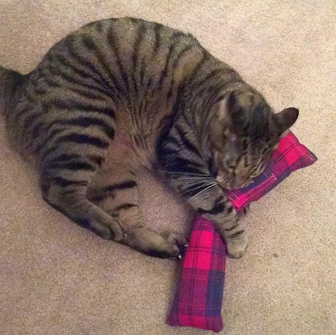 15" Cat Kicker Toy with Refillable Catnip Pocket (Red Flannel) - Filled with 1 oz Premium Canadian Catnip-Mewly Pet