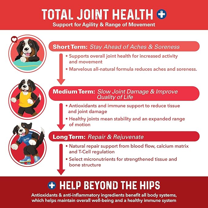 Bernie's Marvelous Mobility - Daily Total Joint Support for Dogs - 90 Soft Chews - Maintain & Rebuild Mobility, Supports Joint Tissue Health-Mewly Pet