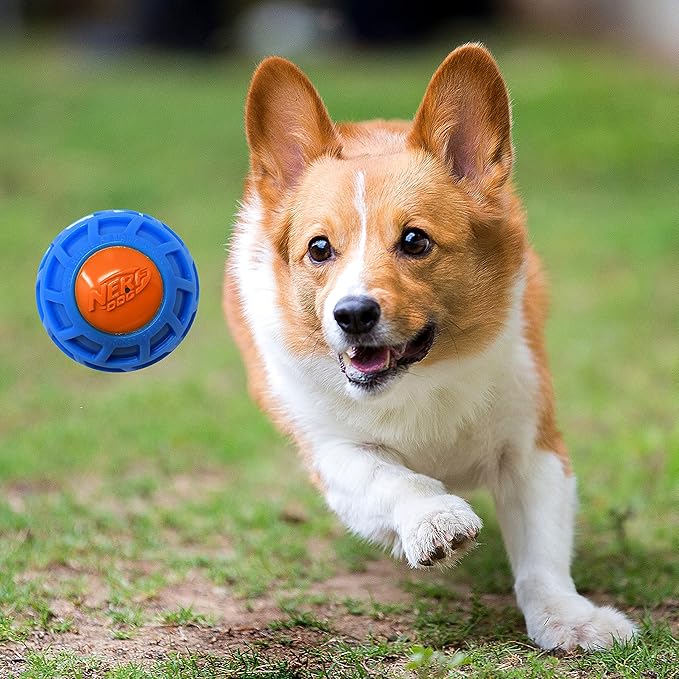 Nerf Dog 3in TPR EXO Squeak Ball - Blue/Orange-Mewly Pet