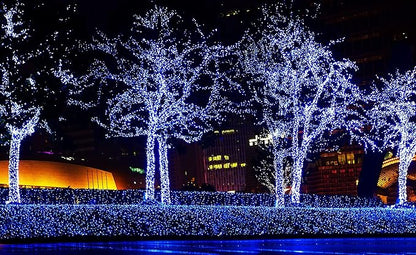 612 Vermont 50 Blue Christmas Lights on a White Wire String, UL Approved, Indoor and Outdoor Use, 9 Foot of Lighted Length, 11 Foot of Total Length