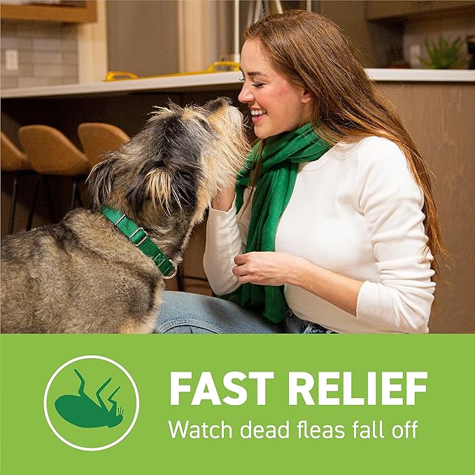 CAPSTAR Oral Flea Treatment for Dogs, Fast Acting Tablets Start Killing Fleas in 30 Minutes, Medium & Large Dogs (Over 25 lbs), 6 Doses-Mewly Pet