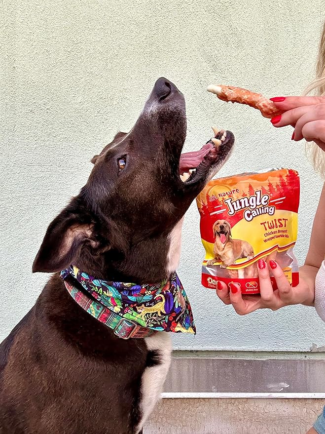 Jungle Calling Dog Treats, Chicken Wrapped Rawhide Sticks for Dogs, Delicious and Nutritious Training Reward Treats and Dog Chews Snacks, 6 oz-Mewly Pet