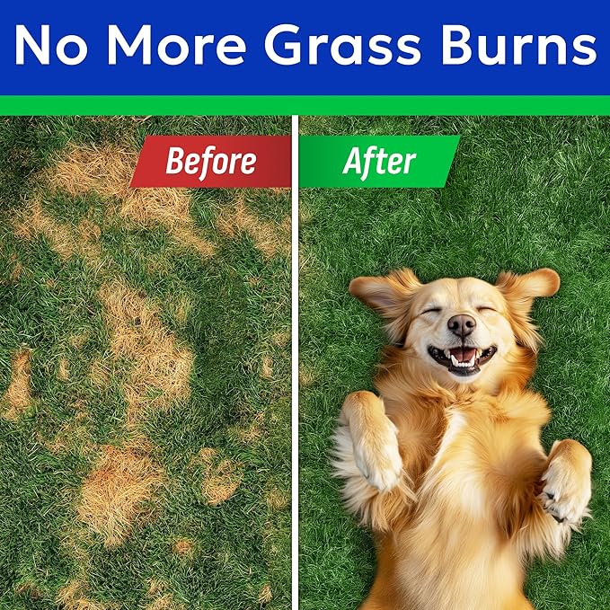 BARK&SPARK Green Grass Chews - Pee Grass Spot Saver Caused by Dog Urine - Urine Neutralizer for Lawn, Gut Health Probiotics & Digestive Enzymes,Lawn Burn from Dog Urine, Grass Burn Spot Chews (240Ct)-Mewly Pet