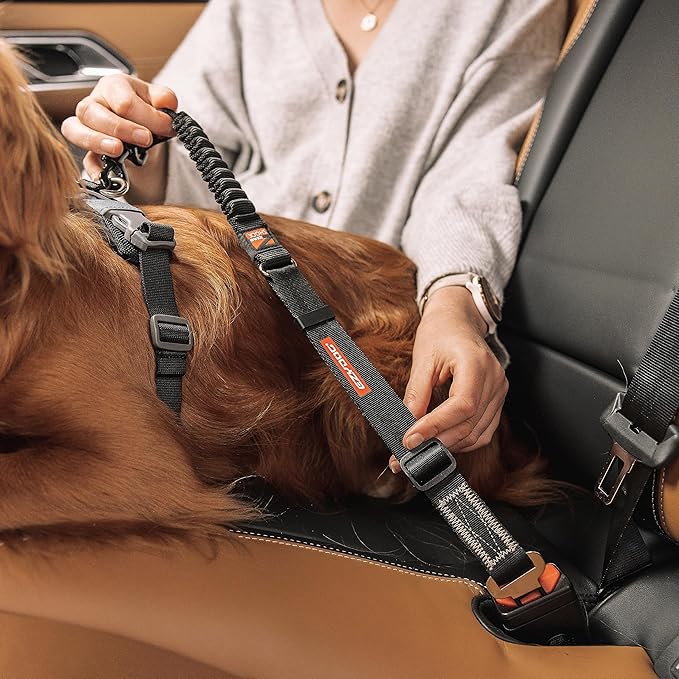 EzyDog Zero Shock Click - Shock Absorbing Dog Seat Belt Car Harness Attachment for Dogs - Adjustable Dog Restraints Seatbelts for Car Travel and Safety - (20in - 26in, Black)-Mewly Pet