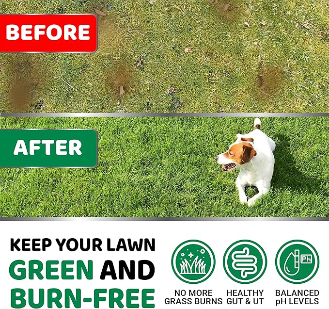 YUMA'S Dog Urine Neutralizer for Lawn - 170 Chews - Advanced Grass Green Savers for Dog Urine - Canine Pee Grass Neutralizer Supplement - Green Lawn Treats with Probiotics and Digestive Enzymes-Mewly Pet