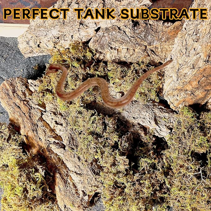 BNOSDM Reptile Terrarium Bark Substrate Bedding Tortoise Natural Cork Bark Reptile Climbing Mat Habitat Decor for Lizard Snake Spiders Hermit Crabs Tarantula Geckos Bearded Dragons (0.7 LB)-Mewly Pet