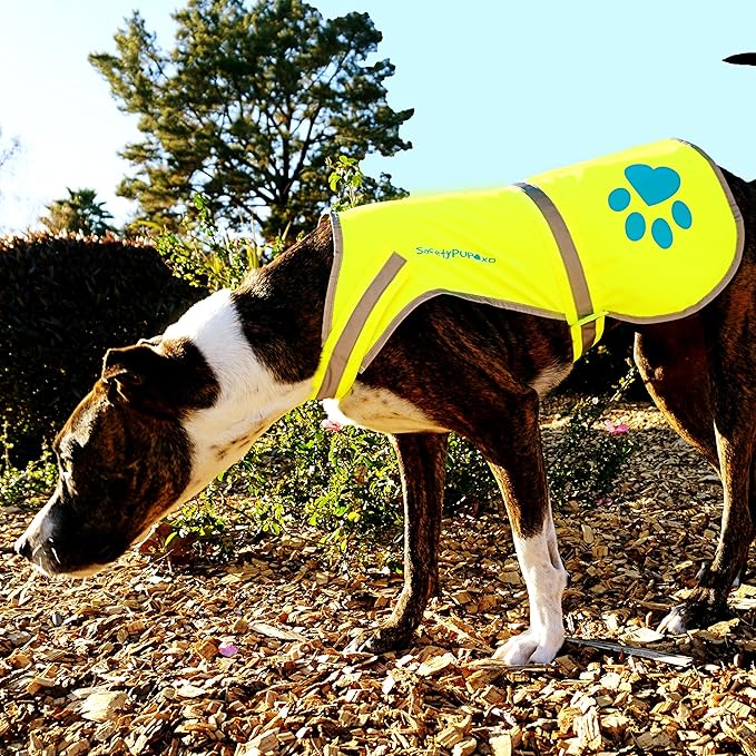 Dog Reflective Vest – Hi-Vis Fluorescent Visibility That Helps to Safeguard Your Pet On/Off Leash in Urban & Rural Areas (Yellow, Medium)-Mewly Pet