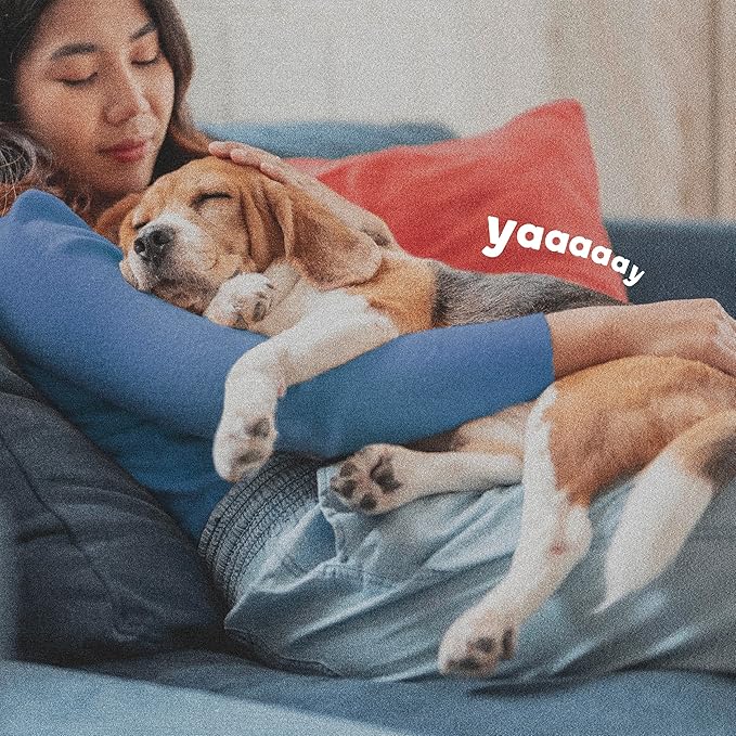 Adams Flea & Tick Collar Plus for Dogs & Puppies |2 Pack |12-Month Protection |One Size Fits All Dogs & Puppies 12 Weeks and Older |Kills Fleas and Ticks |Repels Mosquitoes (excluding California)-Mewly Pet