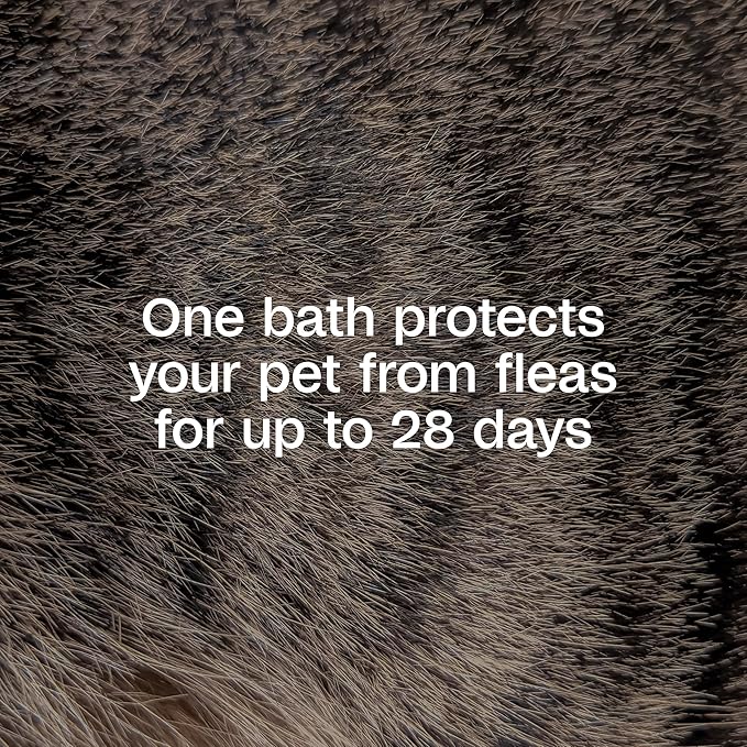 ADAMS Plus Flea & Tick Shampoo with Precor IGR for Cats, Kittens, Dogs & Puppies Over 12 Weeks Of Age, Sensitive Skin Flea Treatment, Kills Adult Fleas, Flea Eggs, Ticks, and Lice, 1 Gallon-Mewly Pet